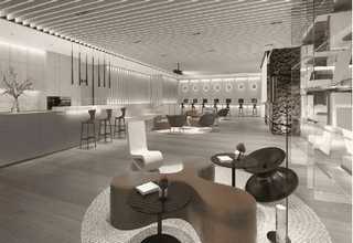 南安常见绿植租摆